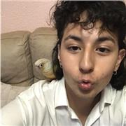 Profesor joven de dibujo, pintura, etc de nivel básico a avanzado.
